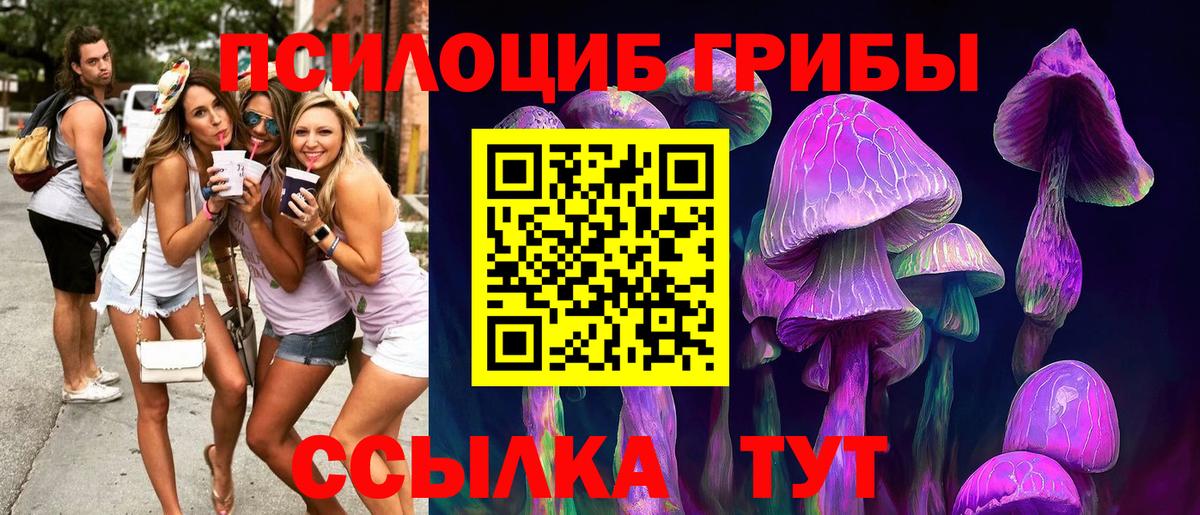 Железноводск  Галлюциногенные грибы Psilocybe  Вход с VPN 